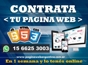 Servicios de Diseño Web